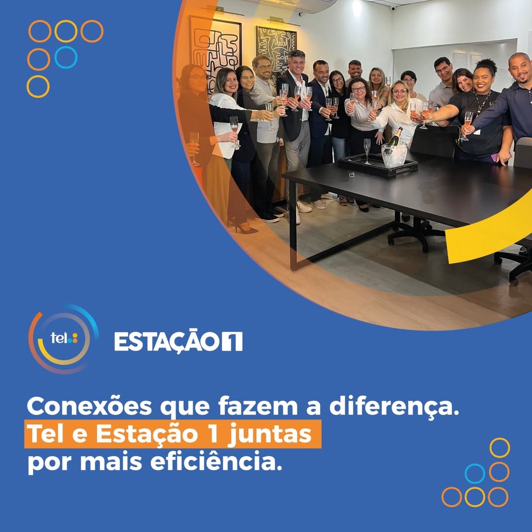 Publicação 7